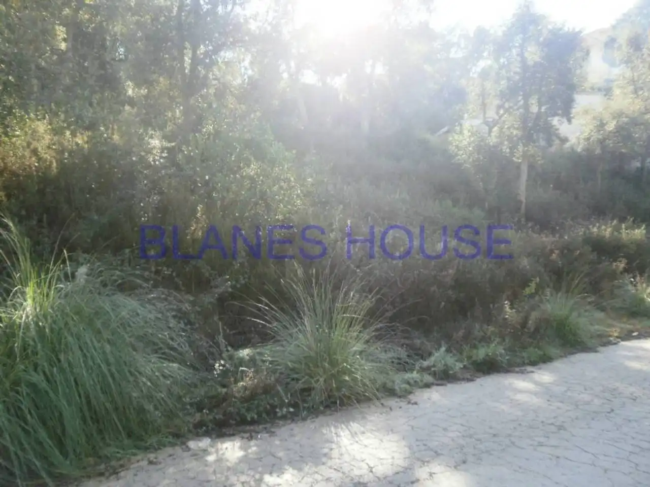 Terreno residencial en venta en Montbarbat, imagen 2