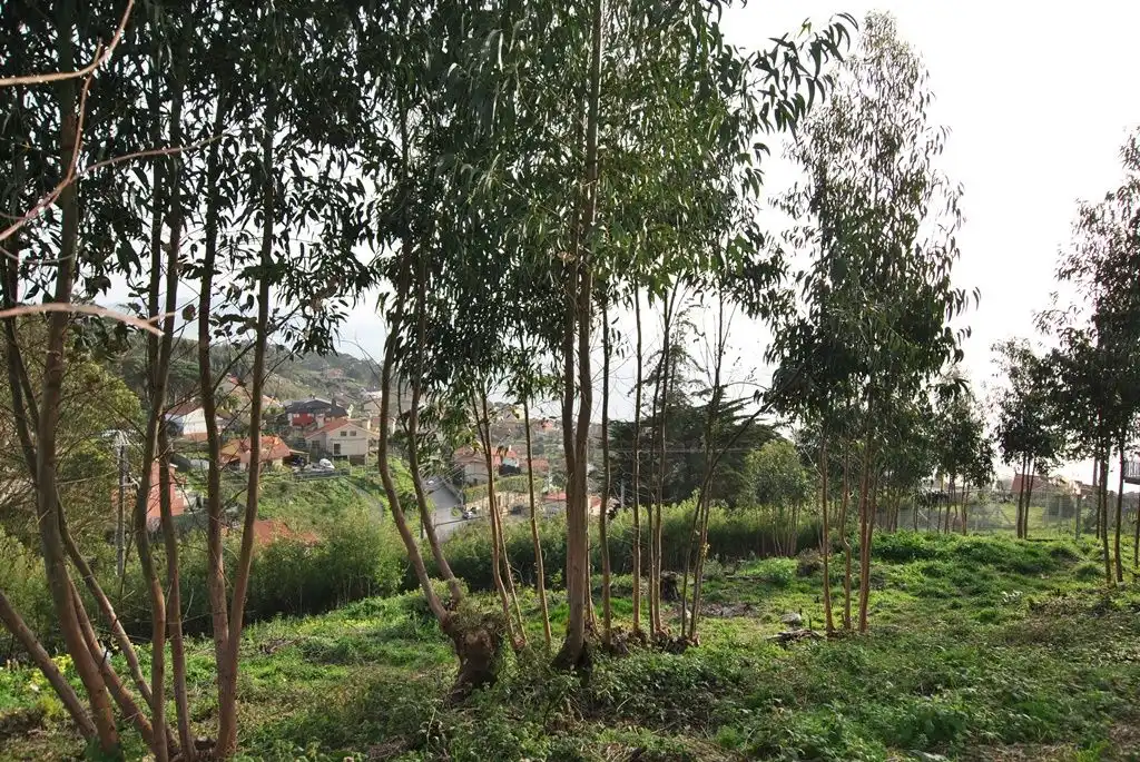 Residential land for sale in N/A, imagen 21