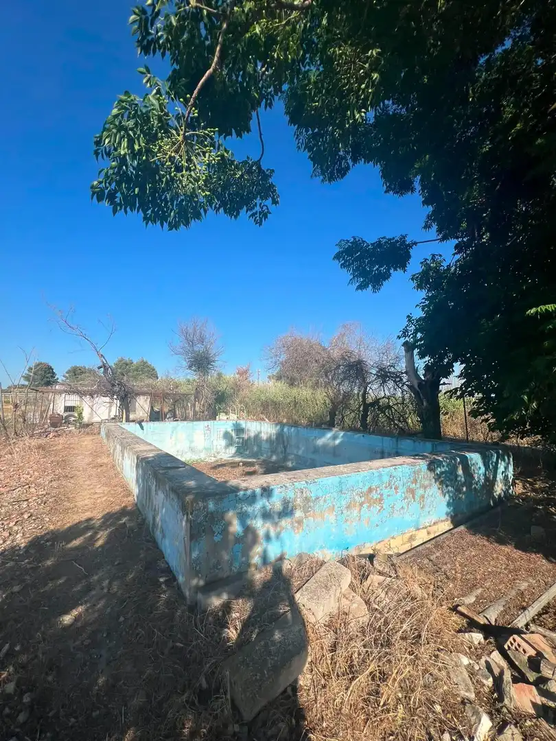 Piscina de Casa o chalet en venta en Los Palacios y Villafranca