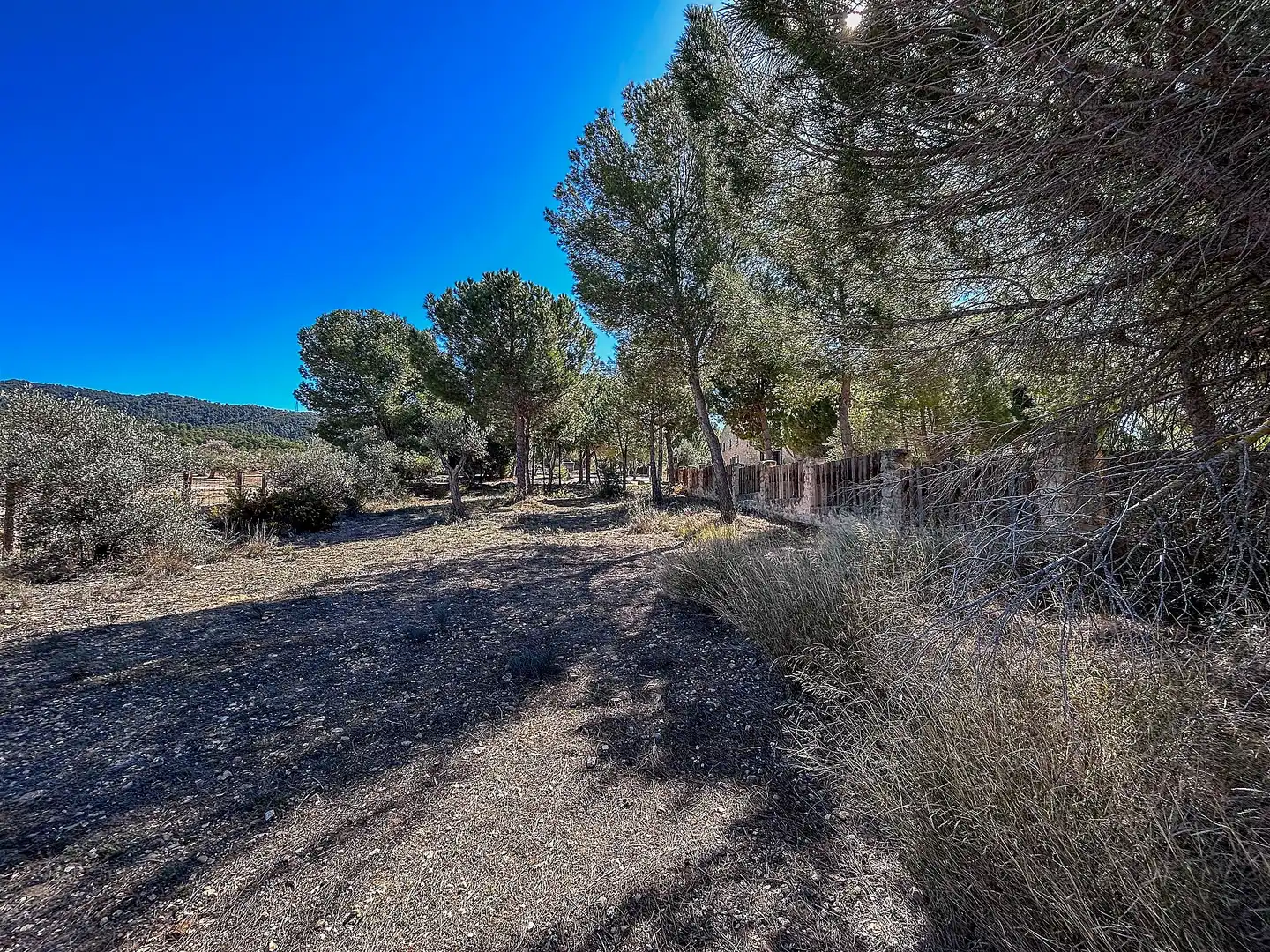 Casa en venta en Biar, imagen 46