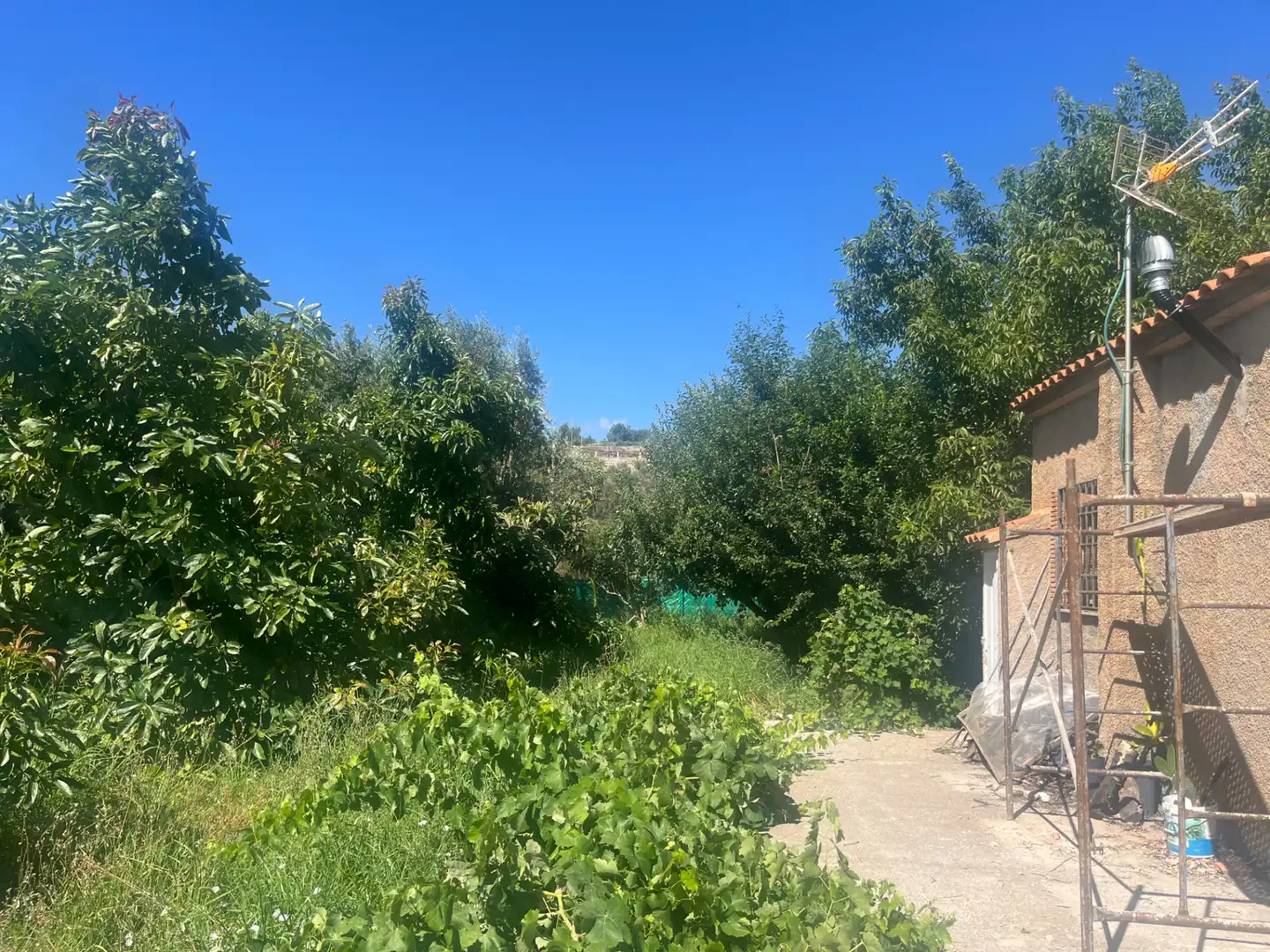 Rustikales Grundstück zum Verkauf in Calle Azahar, imagen 2
