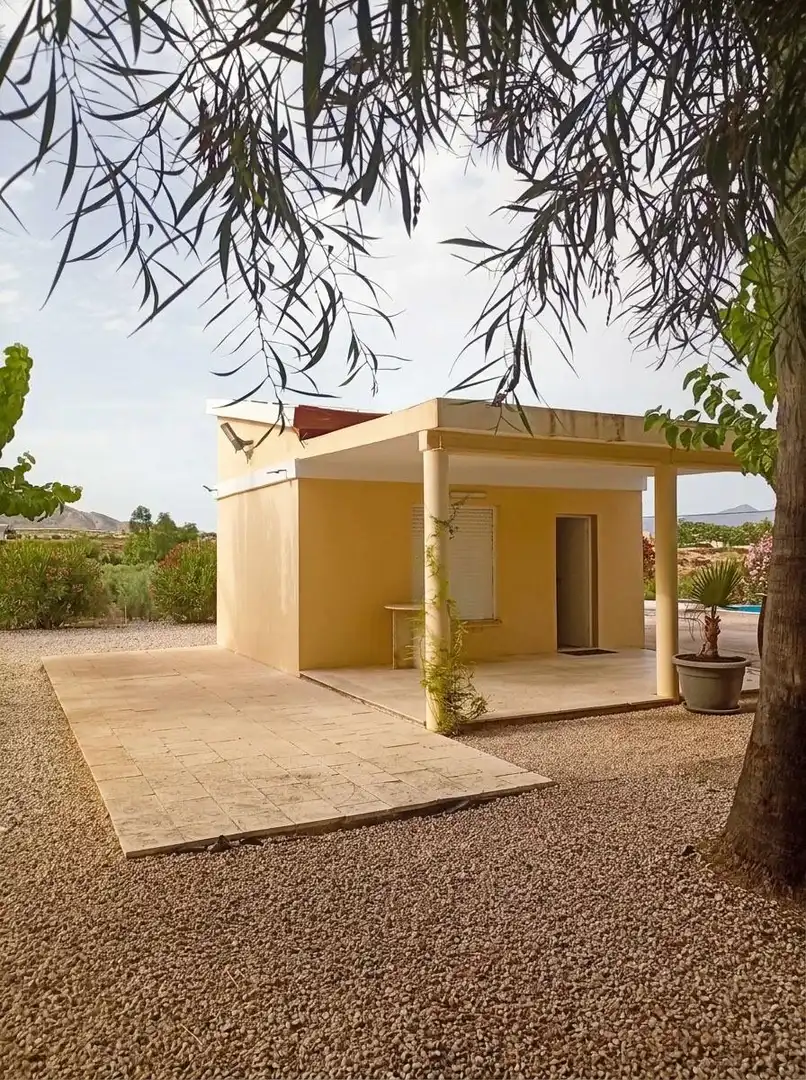 Exterior view of Houses for sale in Novelda  with Swimming Pool and Alarm