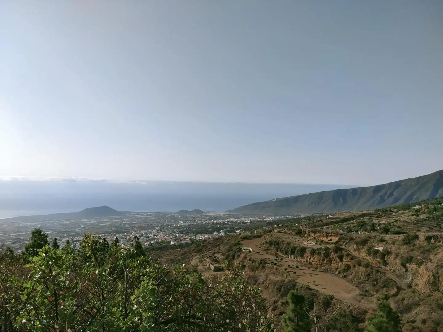 Rural land for sale in Arafo, imagen 2