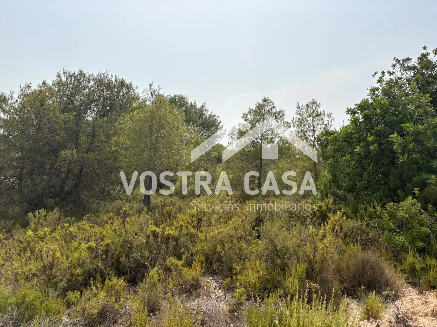 Terreno en venta en Chiva
