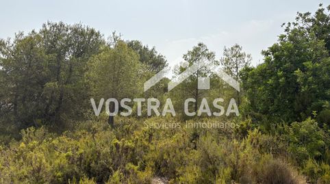 Foto 2 de Terreny en venda a Veintisiete, -1, Los Felipes - Corral de Carmelo, Chiva