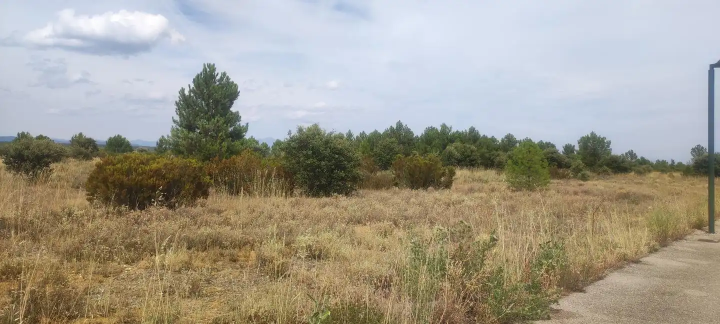 Terreni e lotti in vendita a CENTAURO, imagen 4