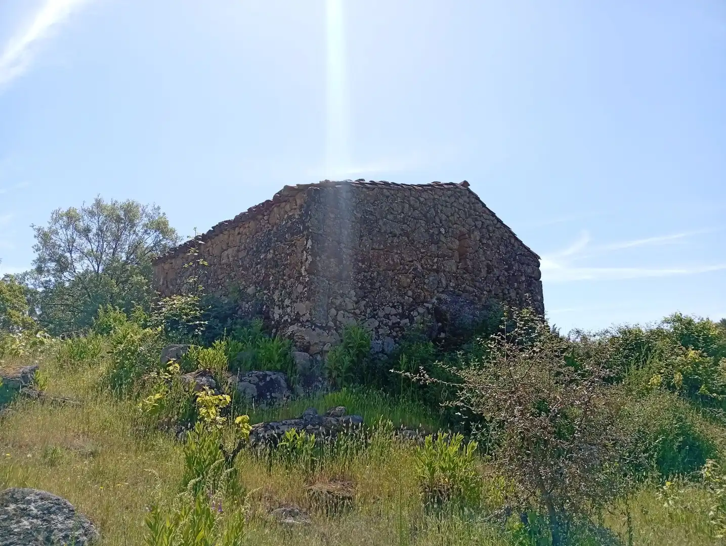 Terreni e lotti in vendita a Villanueva de la Vera, imagen 4