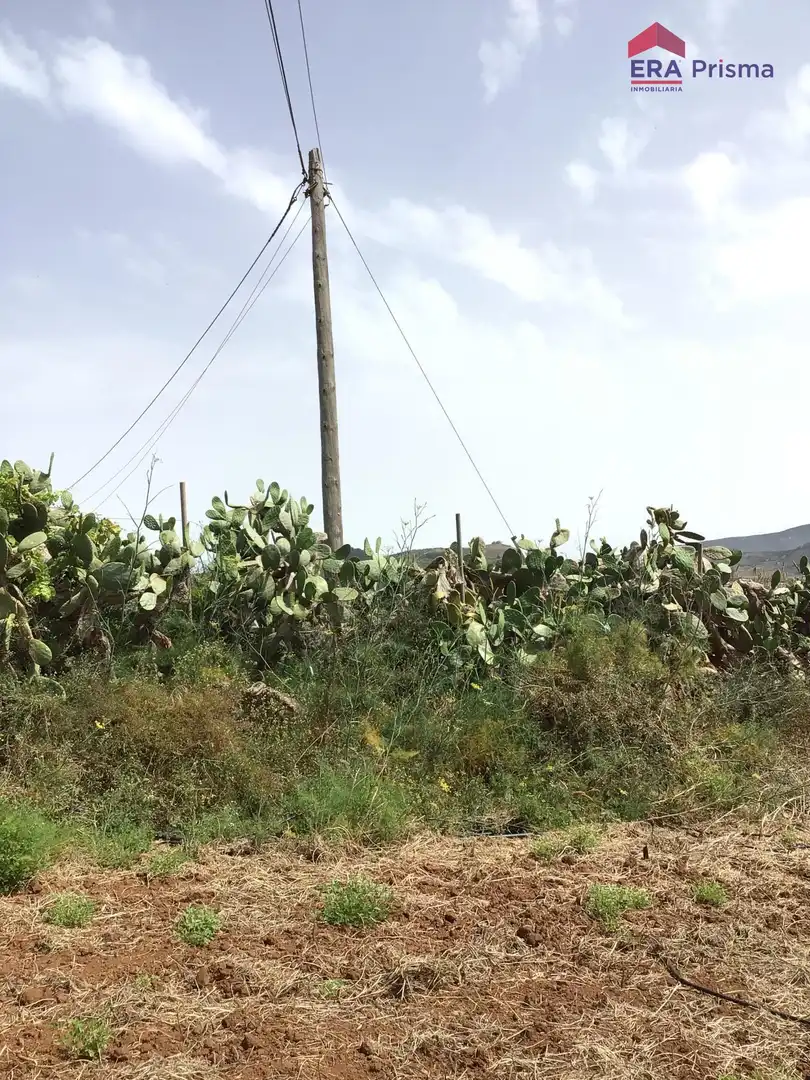 Terreny rústic en venda a Camino DEL MEDIO S/N, imagen 23
