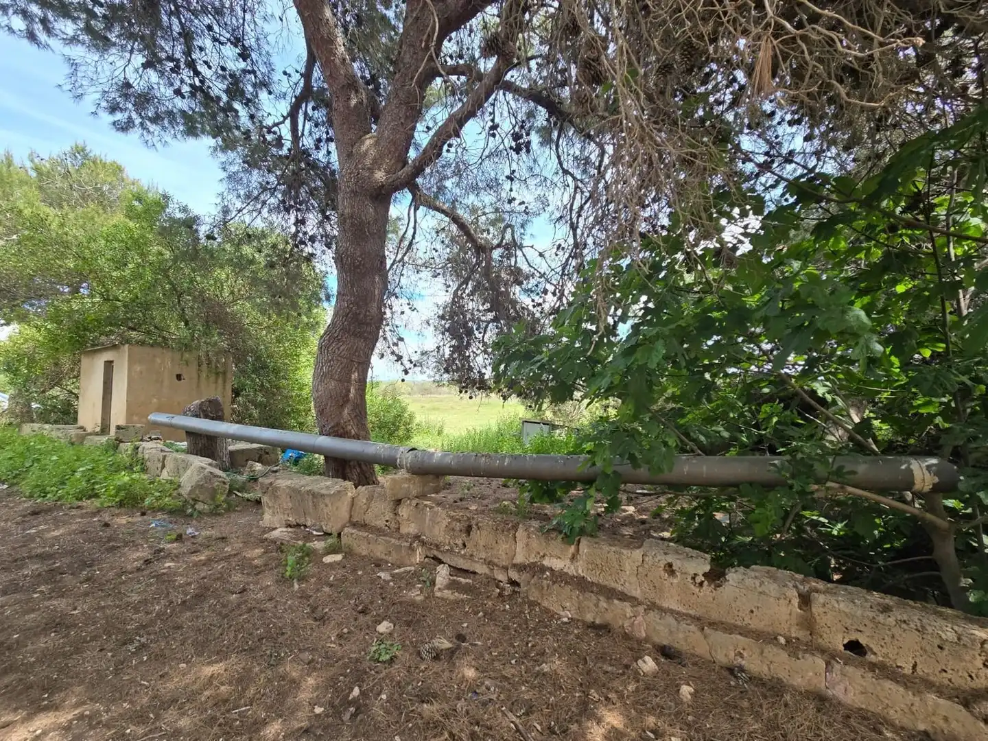 Finca rústica en venta en  Palma de Mallorca con Jardín privado, Terraza y Trastero