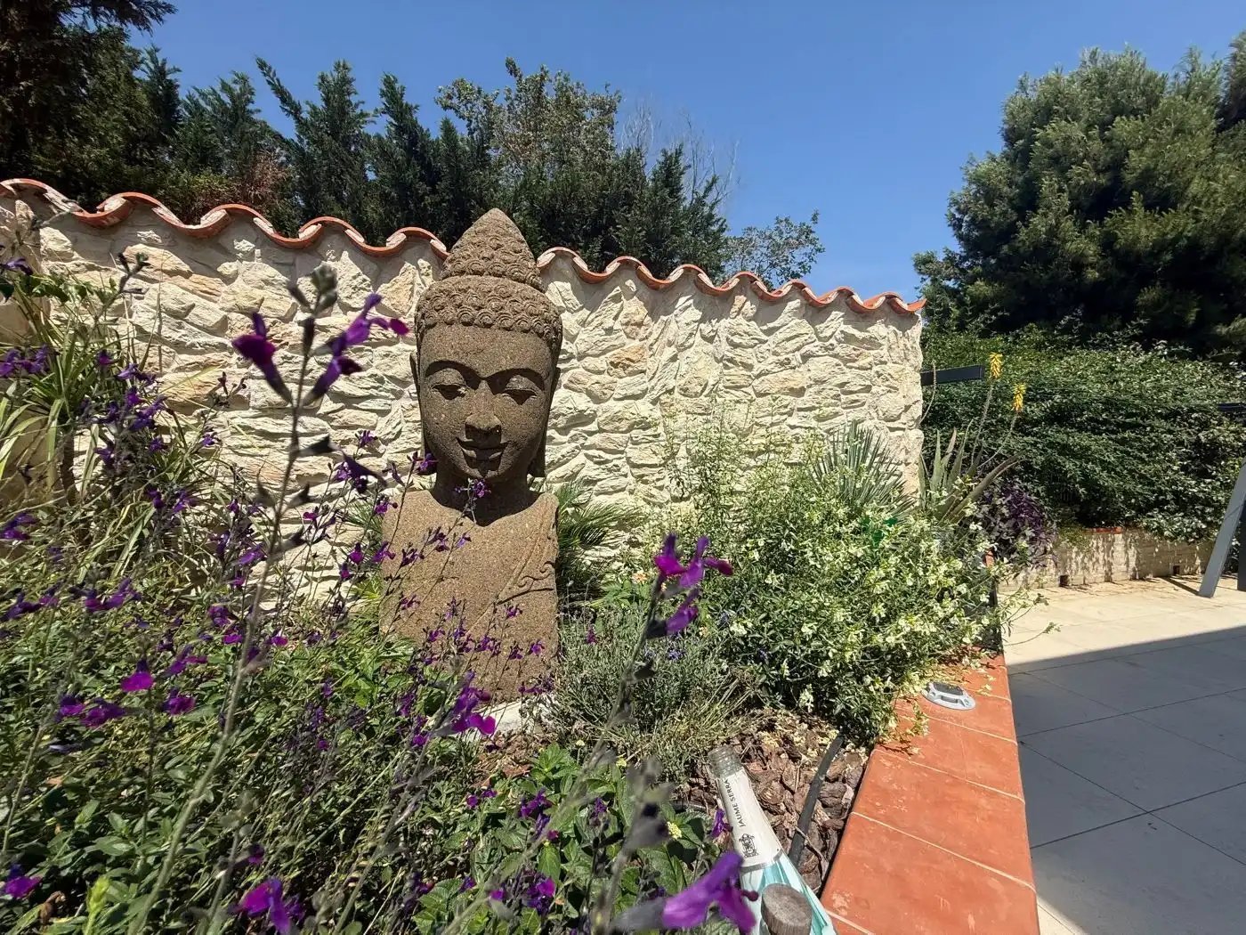 Jardí de Casa o xalet en venda en Castelló d'Empúries amb Aire condicionat, Calefacció i Jardí privat