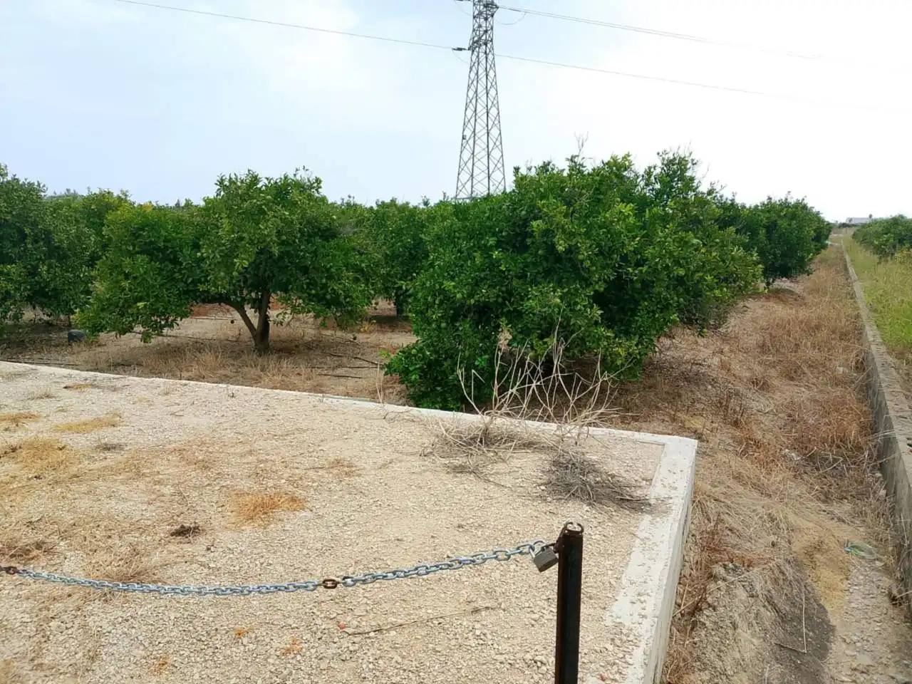 Terreny rústic en venda a Carretera Nazaret a Oliva 670