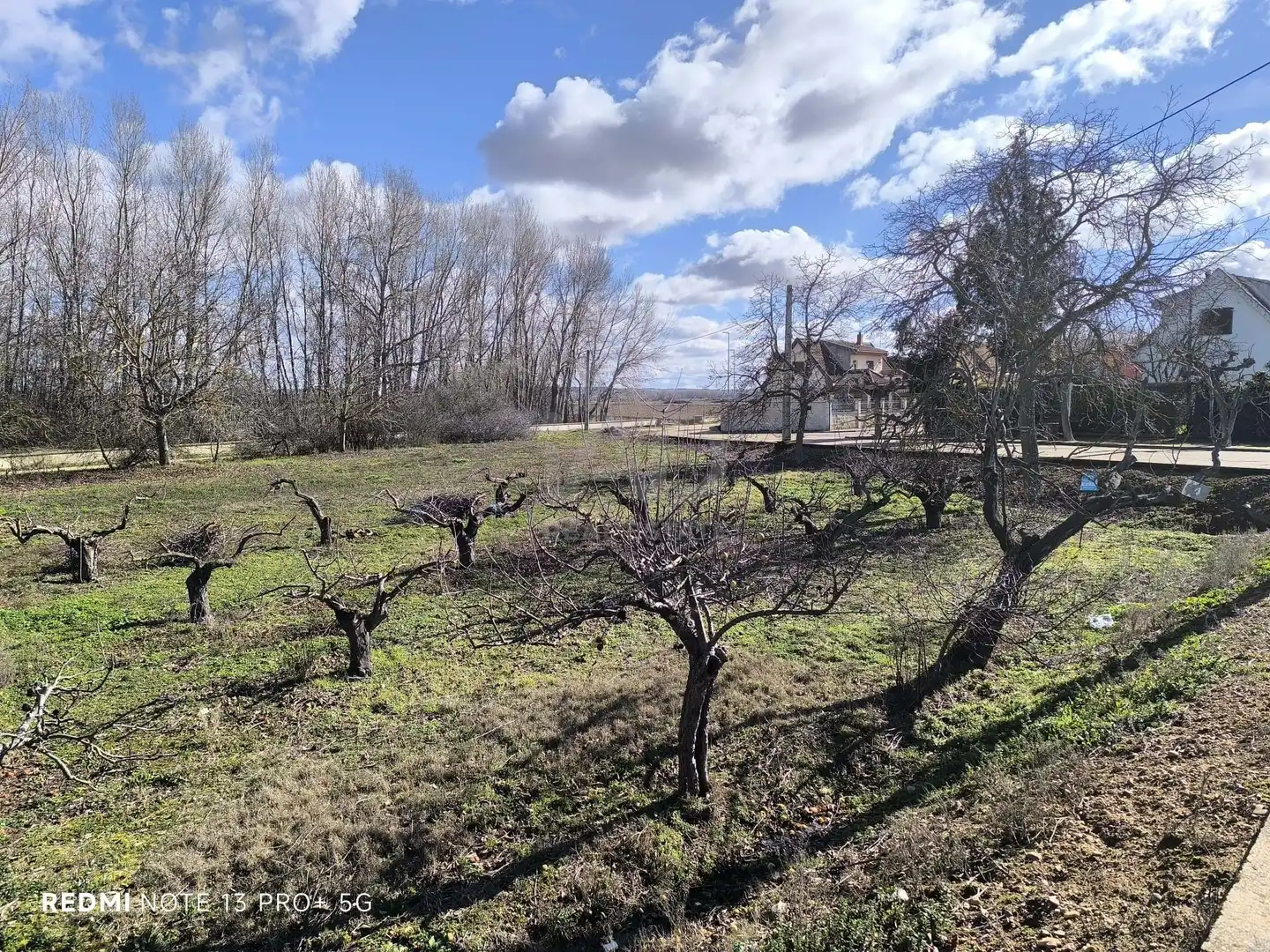 Residencial en venta en San Millán de los Caballeros