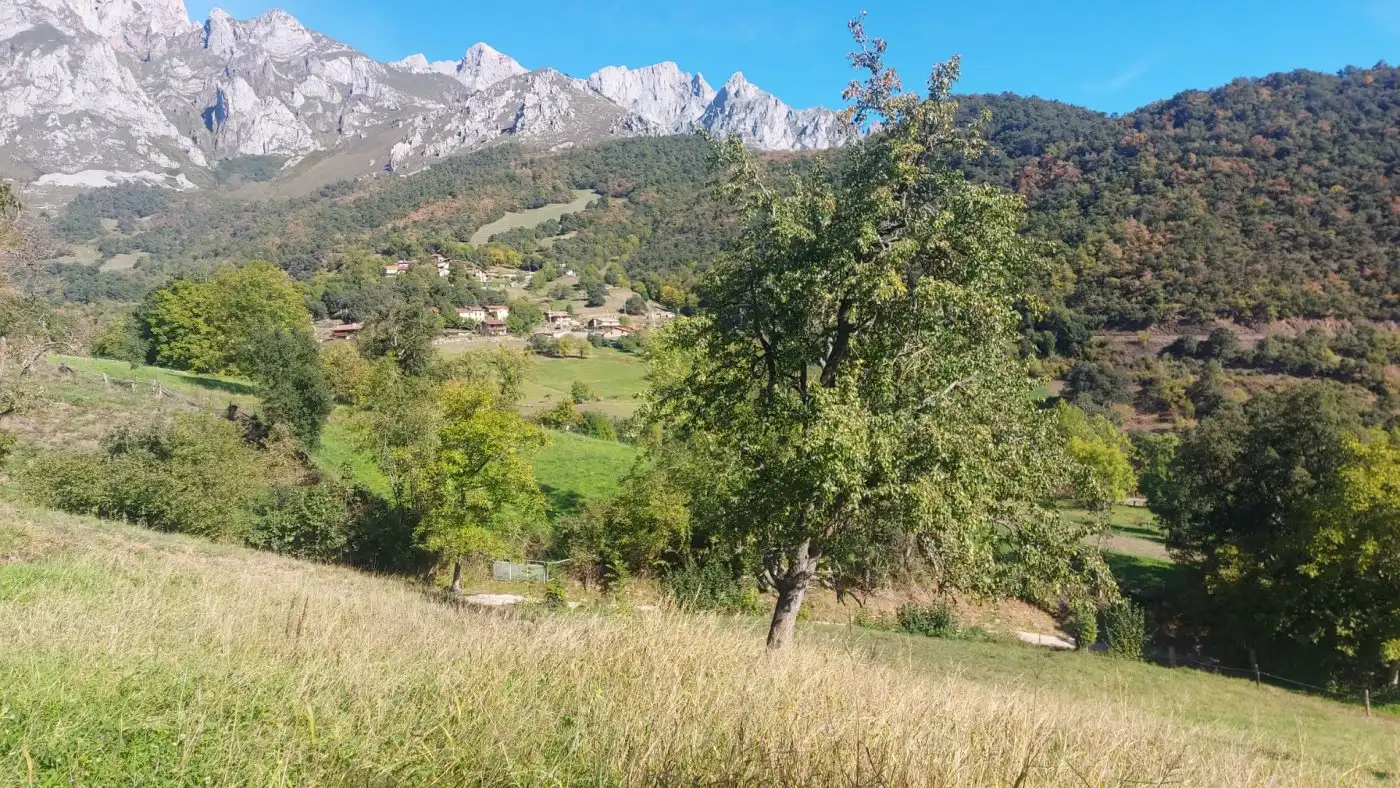 Terreno en venta en Camaleño