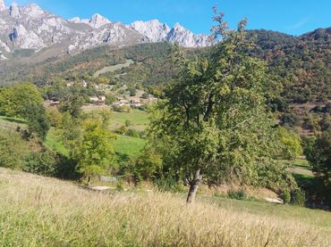 Terreno rustico in vendita a Camaleño