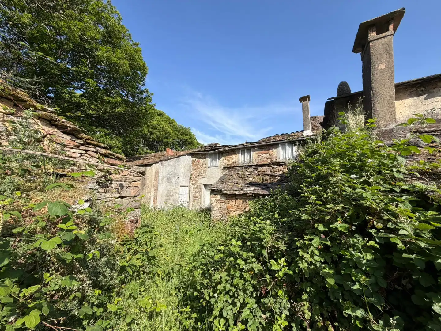 Vista exterior de Finca rústica en venta en Xermade con Jardín privado
