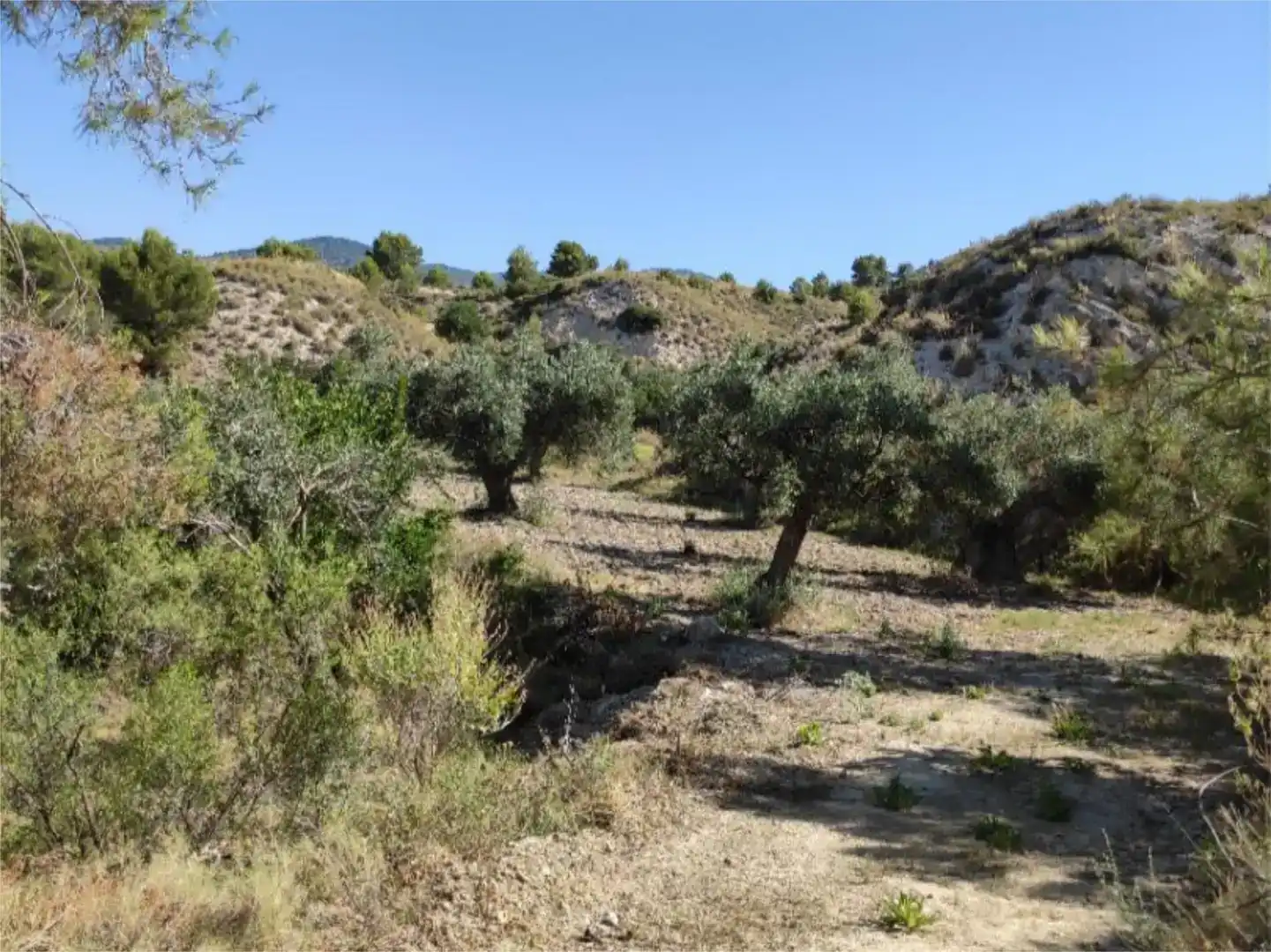 Terreno en venta en Busot