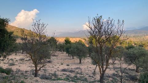 Photo 4 of Country house for sale in Carretera Biar, San Francisco, Alicante