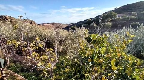 Foto 4 von Country house zum Verkauf in Felix, Almería