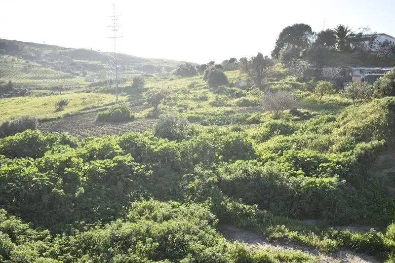 Grundstücke zum Verkauf in Casares