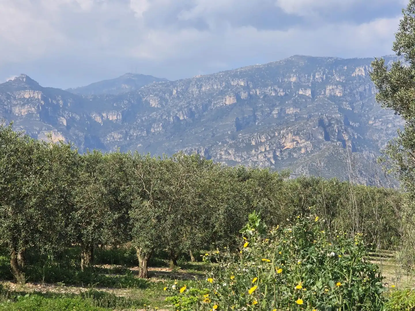 Terreno rustico in vendita a del Polígon Industrial 'La Ravaleta', imagen 11