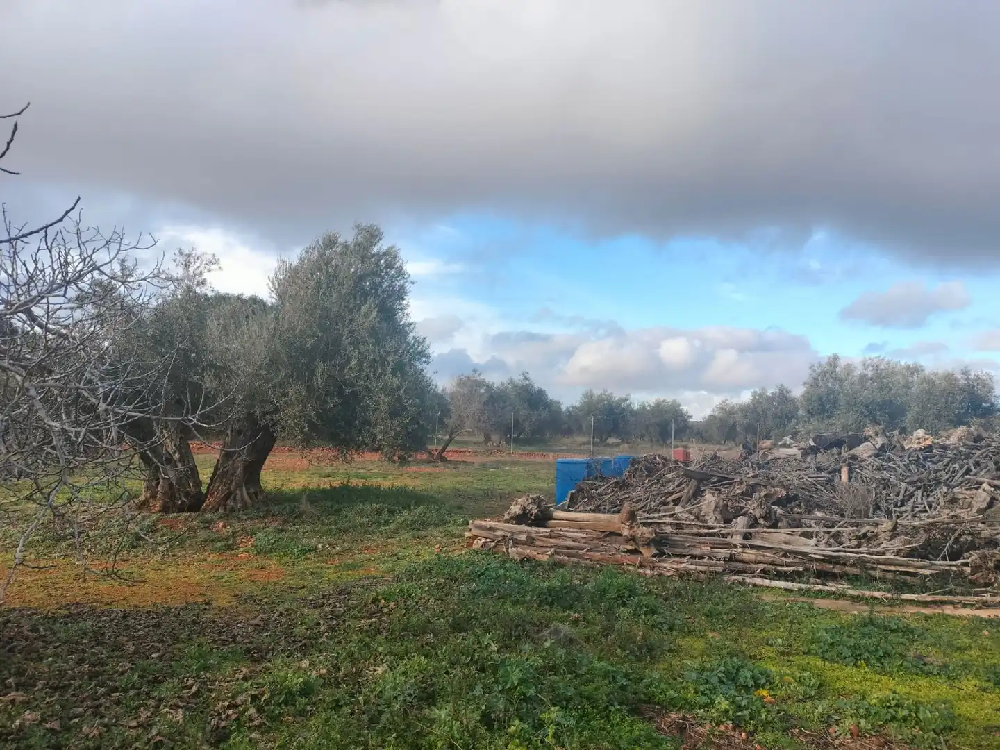 Finca rústica en venta en Argamasilla de Calatrava