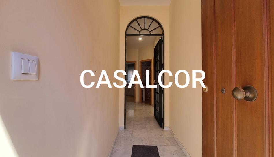 Photo 1 of House or chalet to rent in El Viso del Alcor, Sevilla