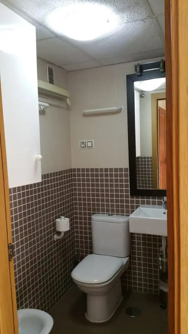 Bathroom of Study for rent in Málaga  with Furnished, Washing machine and Microwave