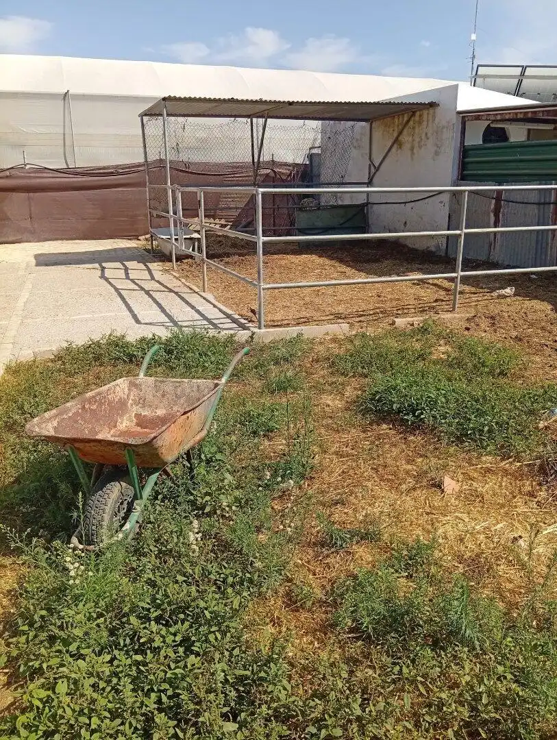 Residencial en venta en La Laguna
