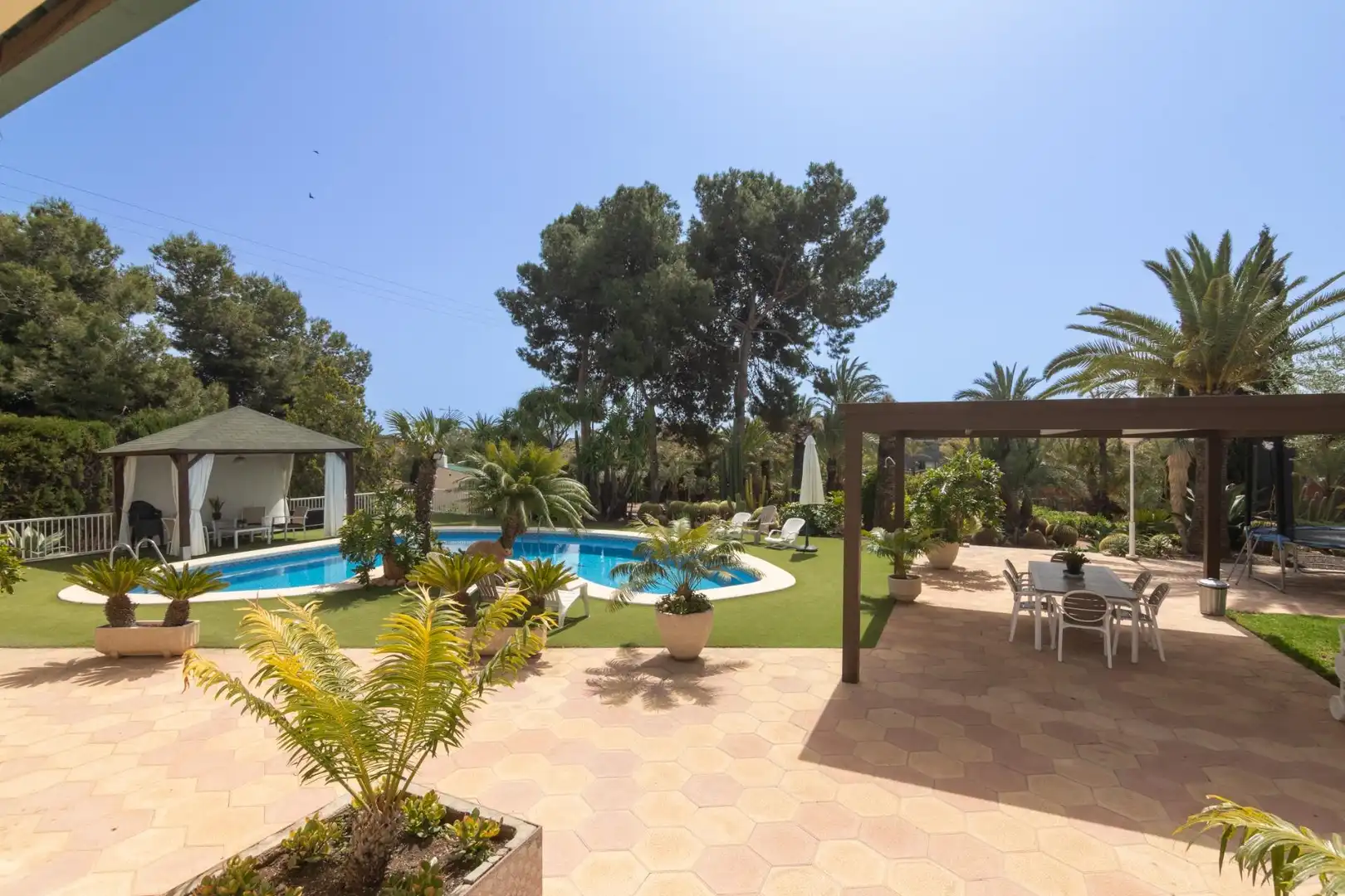 Jardín de Casa o chalet en venta en Elche / Elx con Jardín privado, Terraza y Piscina