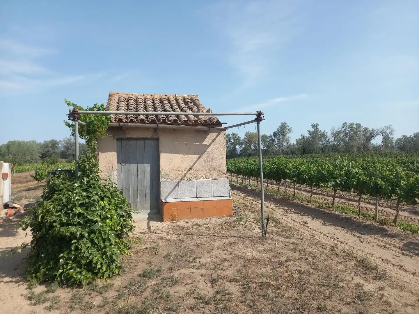 Lands and plots for sale in Ginestar, imagen 20