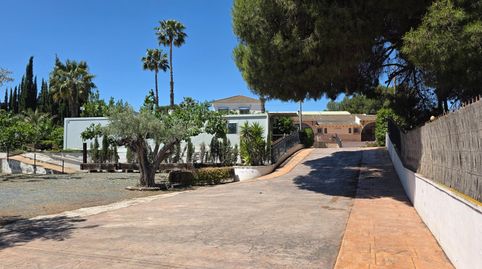 Foto 4 de Finca rústica en venta en Sax, Alicante