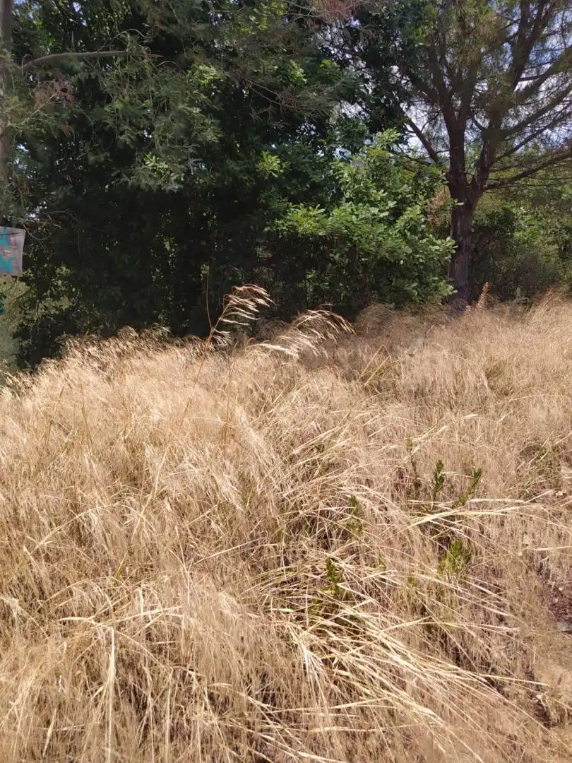Terreny residencial en venda a Riells i Viabrea, imagen 7