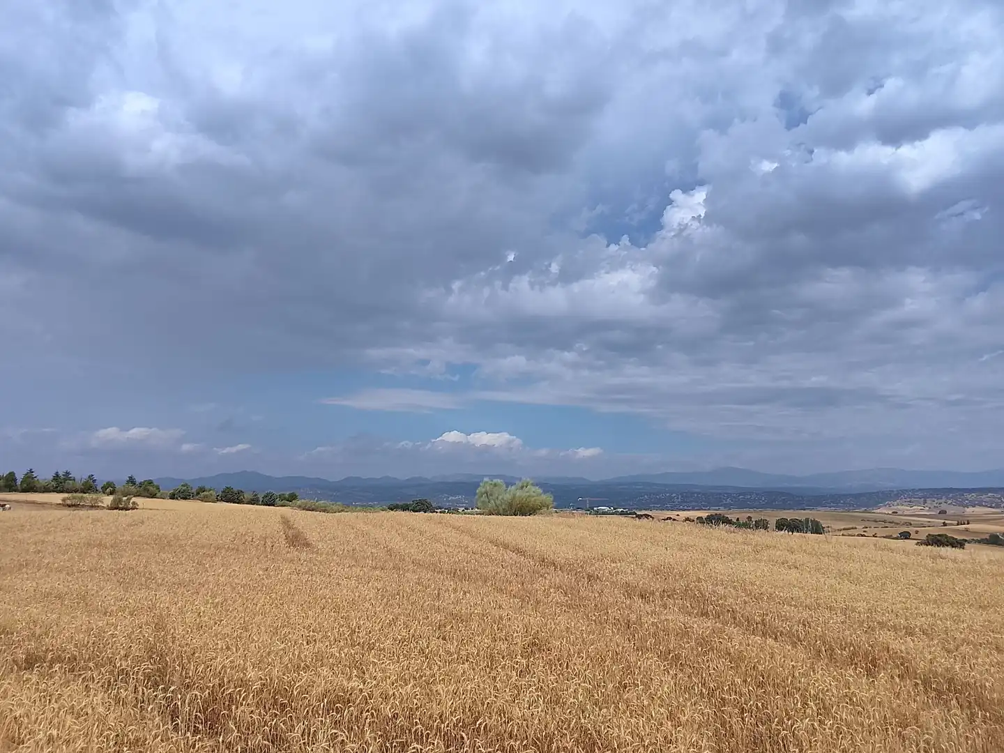 Terreno rustico in vendita a Quijorna, imagen 5