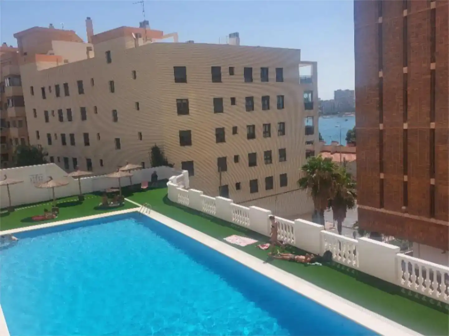Schwimmbecken von Wohnung zur Miete in Pla - Carolinas