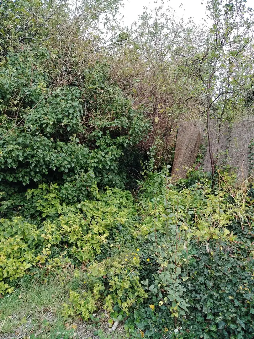 Country homes for sale in Tarazona  with Private garden