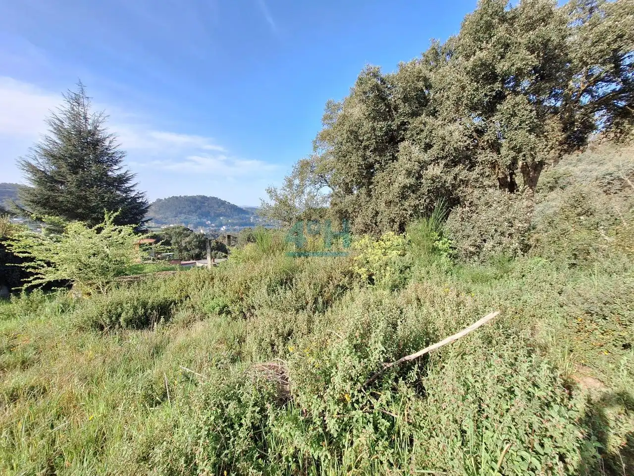 Terreni e lotti in vendita a O Pereiro de Aguiar, imagen 12