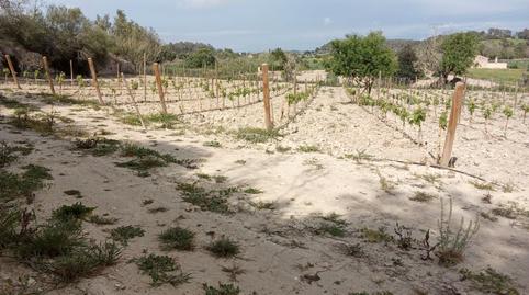 Foto 4 de Terreno en venta en Carrer del Vent, 10, Monti-Sion,  Palma de Mallorca