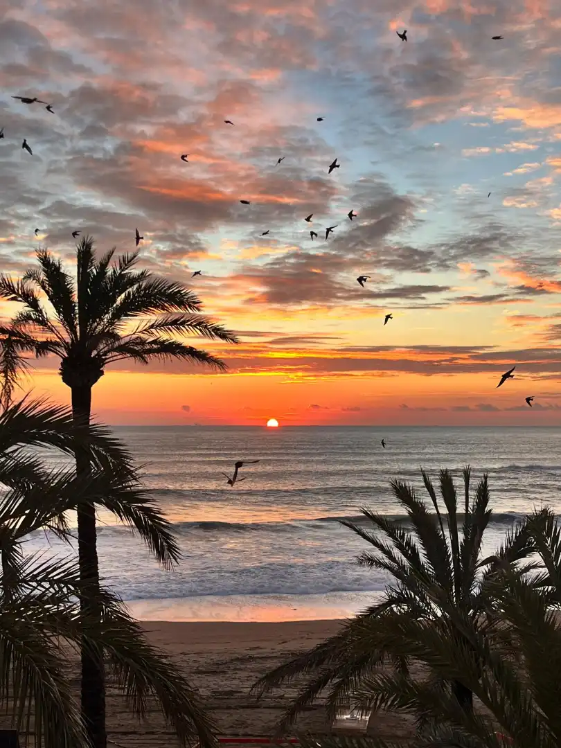 Vista exterior de Piso en venta en Vinaròs con Amueblado y Balcón