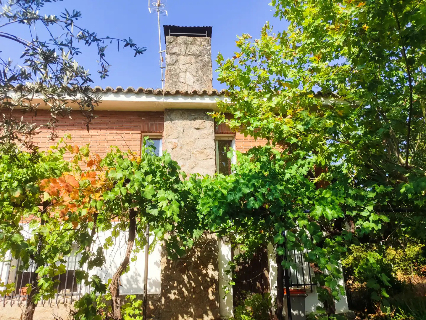 Villa mit Garten zum Verkauf in Calle Álamo 3, imagen 9
