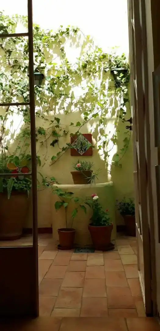 Terrassa de Casa o xalet en venda en El Viso del Alcor, Sevilla