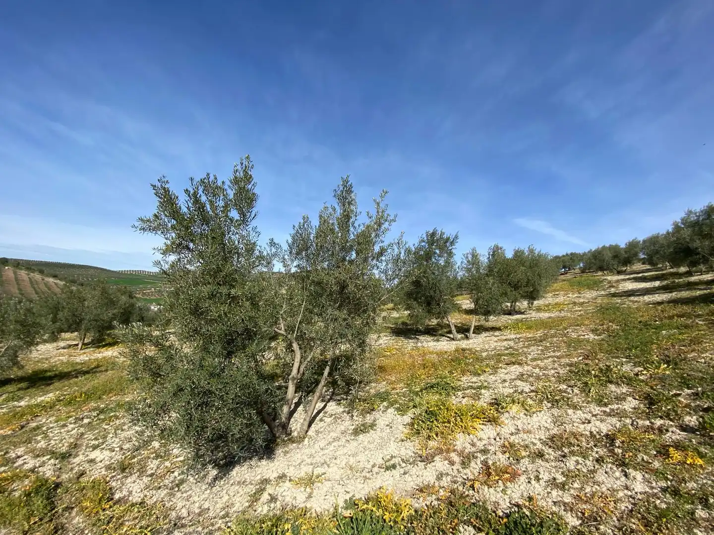 Terreno en venta en Villanueva Mesía