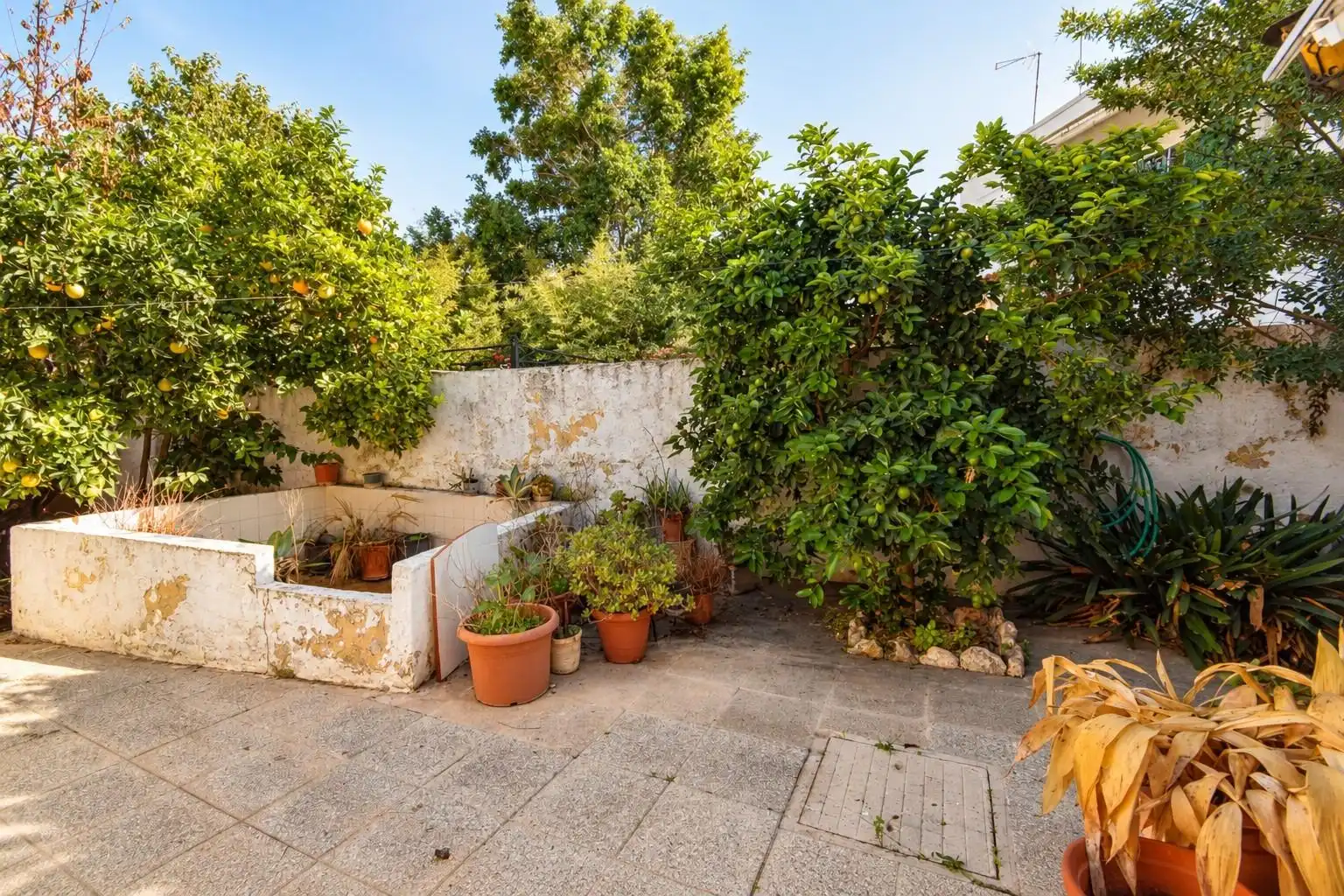 Terrassa de Casa o xalet en venda en  Palma de Mallorca amb Jardí privat