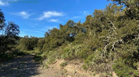 Foto 4 de Residencial en venta en  Tosal Gros de Miramar, Figuerola del Camp, Tarragona