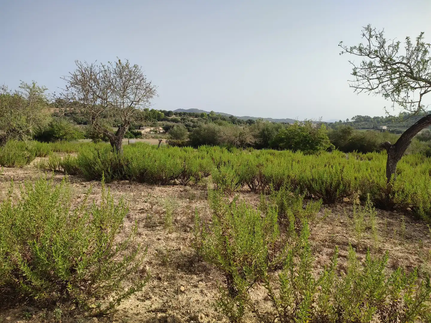 Terreny residencial en venda a Sant Joan, imagen 12