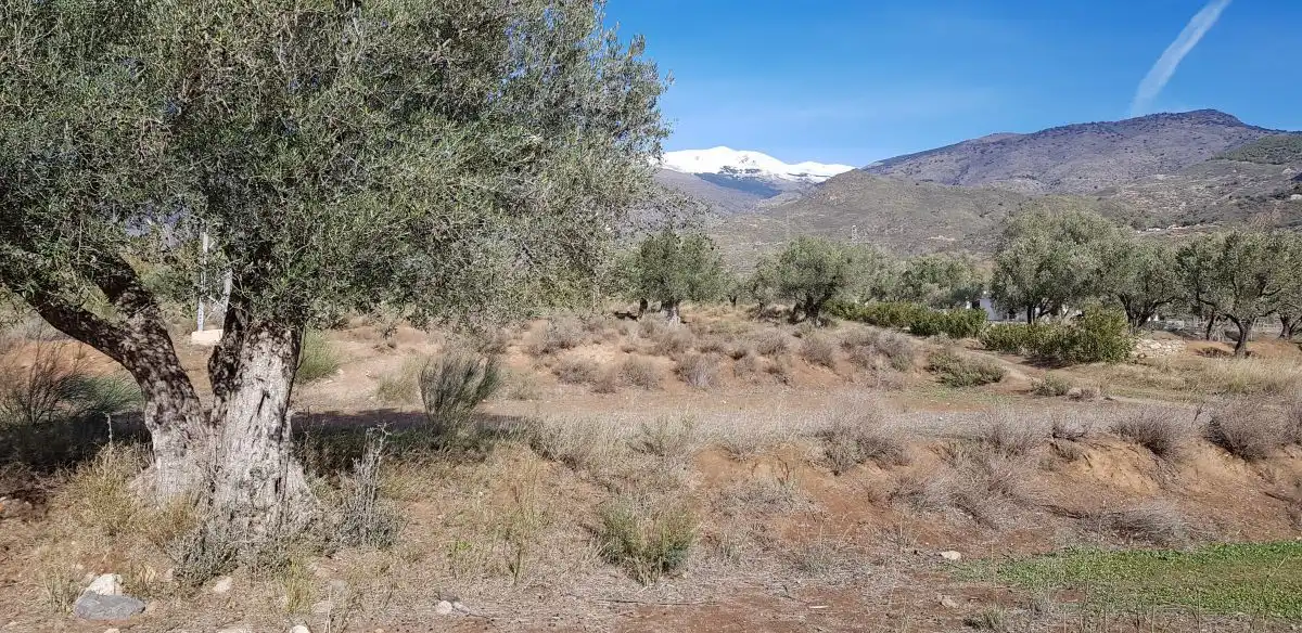 Terreni e lotti in vendita a Órgiva, imagen 4