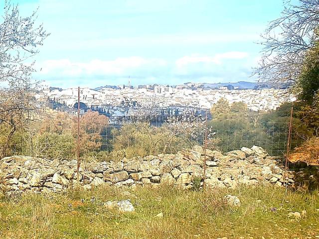 Finca rústica en Venta en La Planilla, Cra. A-6300 en La Planilla