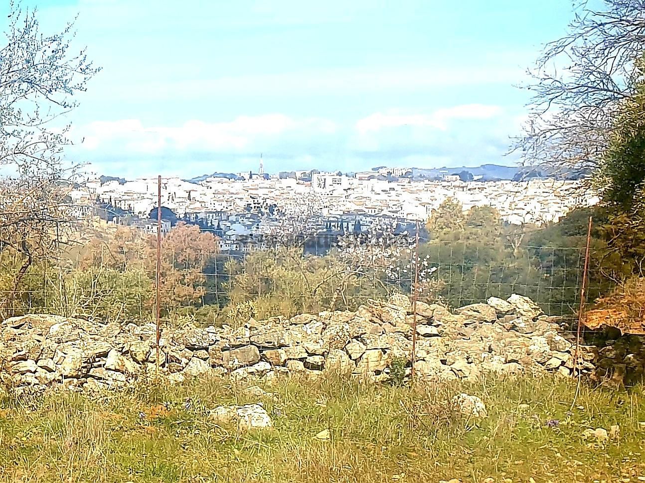 Residential for sale in La Planilla, Cra. A-6300, La Planilla