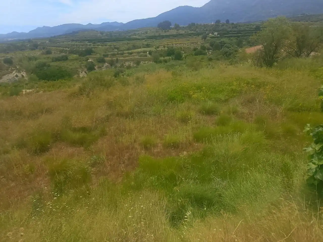 Land for sale in Bélgida