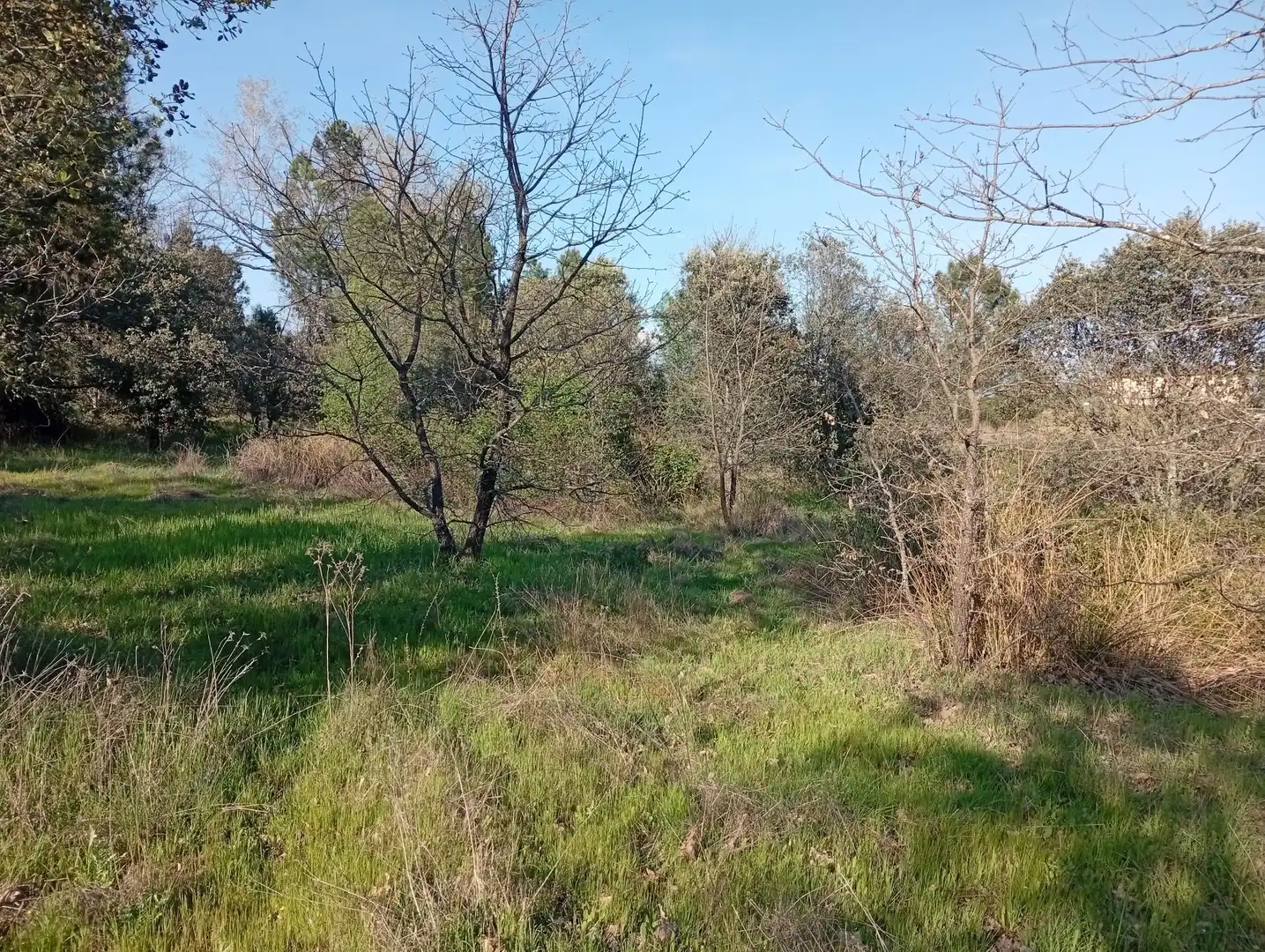 Terreni e lotti in vendita a Villanueva de la Vera, imagen 58