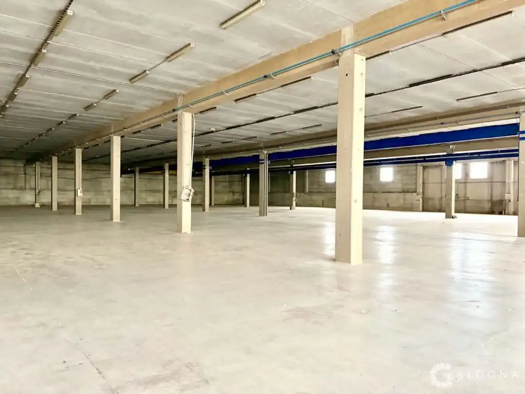 Nau industrial en venda a Etxezarreta Industrialdea Auzoa, imagen 7